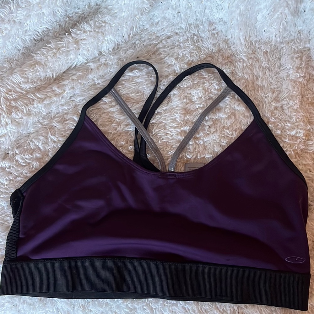 Champion duodry sports bra